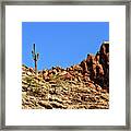The Lonesome Saguaro Framed Print