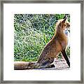 The Lookout Framed Print