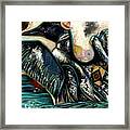 The Loon Framed Print