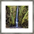 The Lush And Green Lower Oneonta Falls Framed Print
