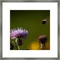 The Meadow Framed Print