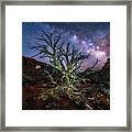 The Milky Way Tree Framed Print