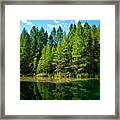 Trees At The Mirror Of Heaven Framed Print