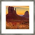 The Mittens Framed Print