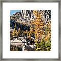 The Mountain Goat In The Enchantments Framed Print