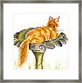 The Old Birdbath Framed Print