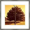 The Old Lantern In The Park Framed Print