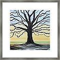 The Stained Old Oak Tree Framed Print