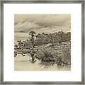 The Old Pond Framed Print