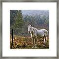 The Olde Gray Horse Framed Print