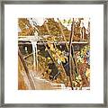 The Other Place Framed Print