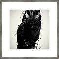 The Owl Framed Print