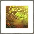 The Path In Gold Framed Print