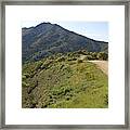 The Path To Tamalpais Framed Print