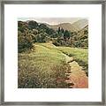 The Path To The Valley Framed Print