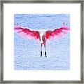 The Pink Angel Framed Print