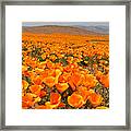 The Poppy Fields - Antelope Valley Framed Print