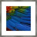 The Power Of Color Framed Print