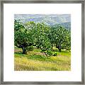 The Preserve Framed Print