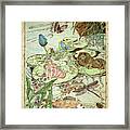 The Princess And The Frogs Framed Print