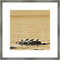 The Quatuor - Gold Framed Print