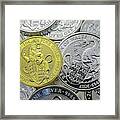 The Queens Beast Gold And Silver Coins Framed Print