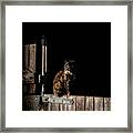 The Rat Catcher Framed Print