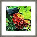 The Red And Yellow Gradation Framed Print