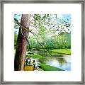 The Return Of The Tiger 03 - Walking On Water Framed Print
