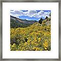 The Road To Mt. Charleston Framed Print