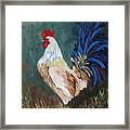 The Rooster Iv Framed Print