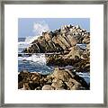 The Rugged Shore Of Pacific Grove Framed Print