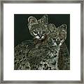 The Serval Twins Framed Print