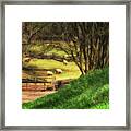 The Sheep's In The Meadow Framed Print