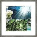 The Sight Of Inspiration Framed Print