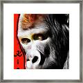 The Silverback Gorilla . King Of The Jungle Framed Print