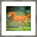 The Stallion-horse Art Painting Framed Print