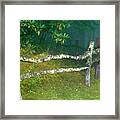 The Summit On Balsam Mountain Framed Print
