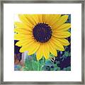 The Sunflower Framed Print