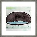 The Superb Bird Framed Print