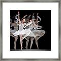 The Swan Ballet Dancer Framed Print
