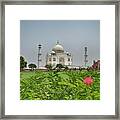 The Taj Mahal Framed Print