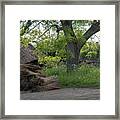 The Thatched Roof, Great Dixter Framed Print