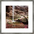 The Tiny Waterfall Framed Print