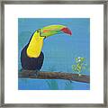 The Toucan And The Lizard Framed Print