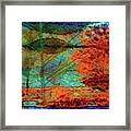 The Tree And The Leaves Framed Print