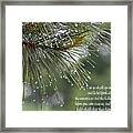The Trees Of The Field Clap Their Hands Framed Print