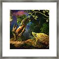 The Turtle Of The Moon Framed Print