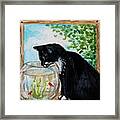 The Tuxedo Cat And The Fish Bowl Framed Print