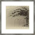 The Vines Framed Print